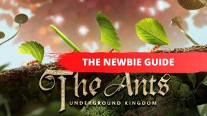 The Newbie Guide