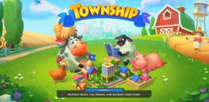 township-17533-2